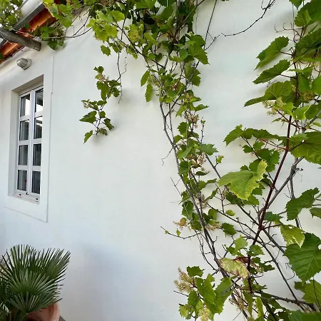 Pequeno Paraiso, 6 Guests, * Sao Bras de Alportel